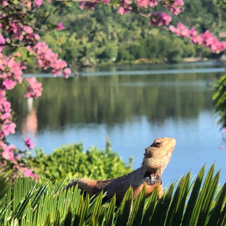 Kalla Bongo Lake Resort Hikkaduwa Kültér fotó